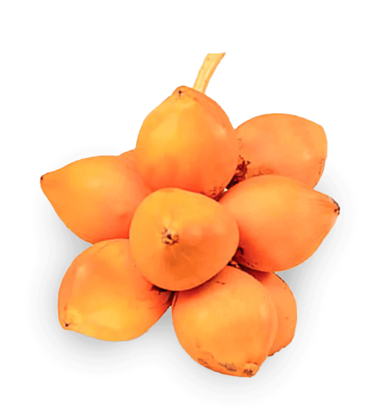 kingcoconutproductimage_1000x-min(1)